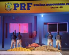 Apreensão milionária: PRF encontra 273,5 kg de drogas escondidos em carreta em Picos