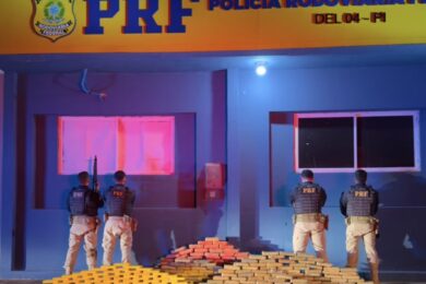 Apreensão milionária: PRF encontra 273,5 kg de drogas escondidos em carreta em Picos